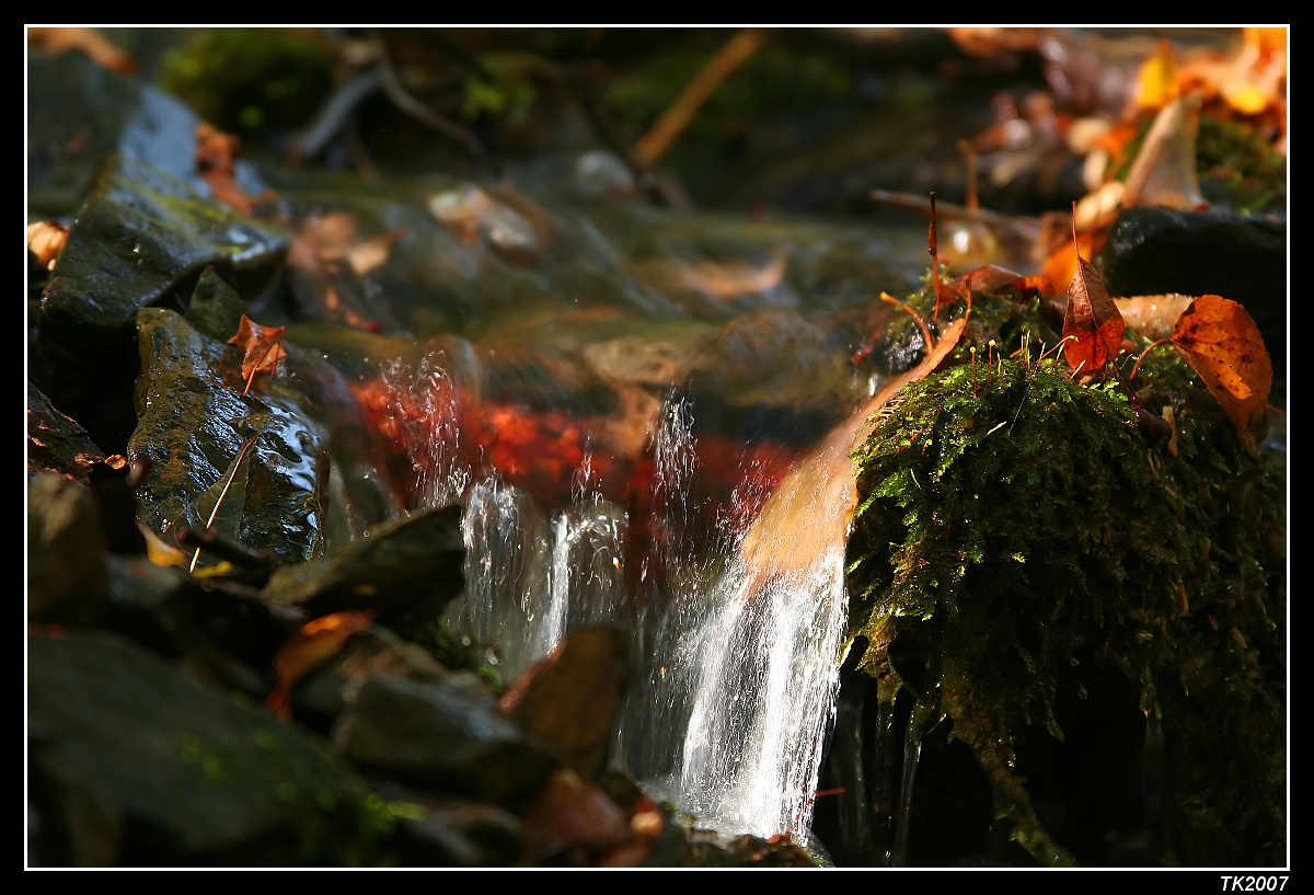 podzimní potok.jpg